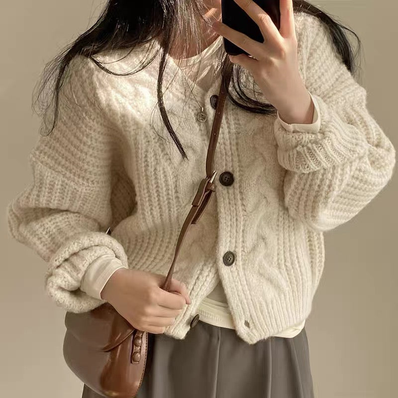 Loose Knit Braided Cable Cardigan