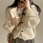 Loose Knit Braided Cable Cardigan