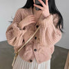 Loose Knit Braided Cable Cardigan