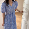 Small Floral Print Puffed Sleeves V-Neck Dress