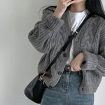 Loose Knit Braided Cable Cardigan