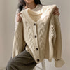 Loose Knit Braided Cable Cardigan