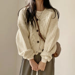 Loose Knit Braided Cable Cardigan