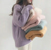 Soft Macaron Color Crew Neck Sweater