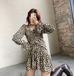 Leopard Print Long Sleeve Drawstring Mini Dress