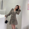 Leopard Print Long Sleeve Drawstring Mini Dress