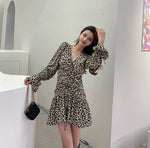 Leopard Print Long Sleeve Drawstring Mini Dress