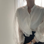 Designer Organza Sleeves Button-Up Blouse