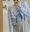 Casual Knitted Blue Grids Cardigan with Knitted Vest Set