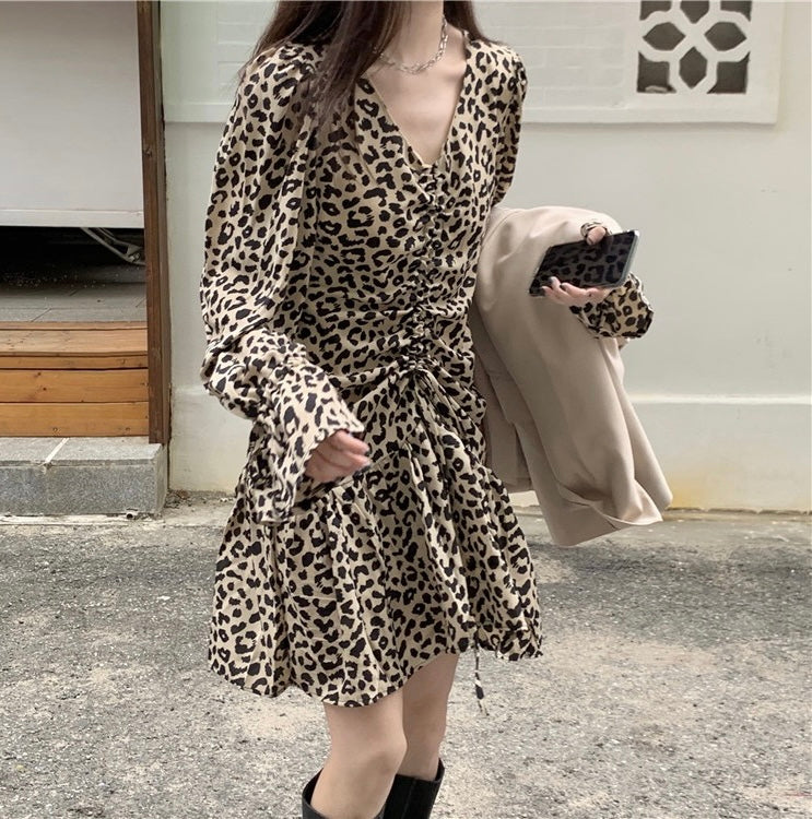 Leopard Print Long Sleeve Drawstring Mini Dress