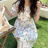 Summer Floral Print Dress