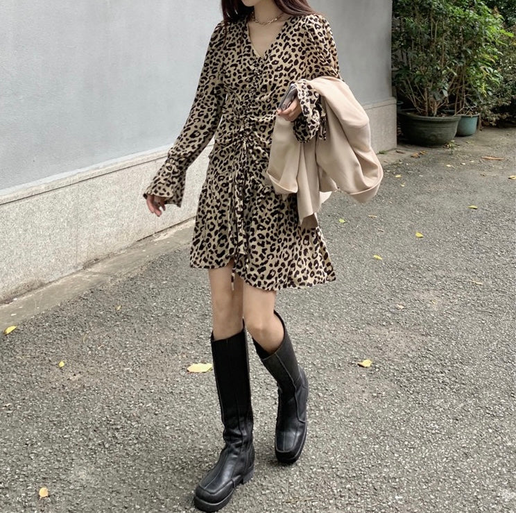 Leopard Print Long Sleeve Drawstring Mini Dress