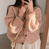 Loose Knit Braided Cable Cardigan