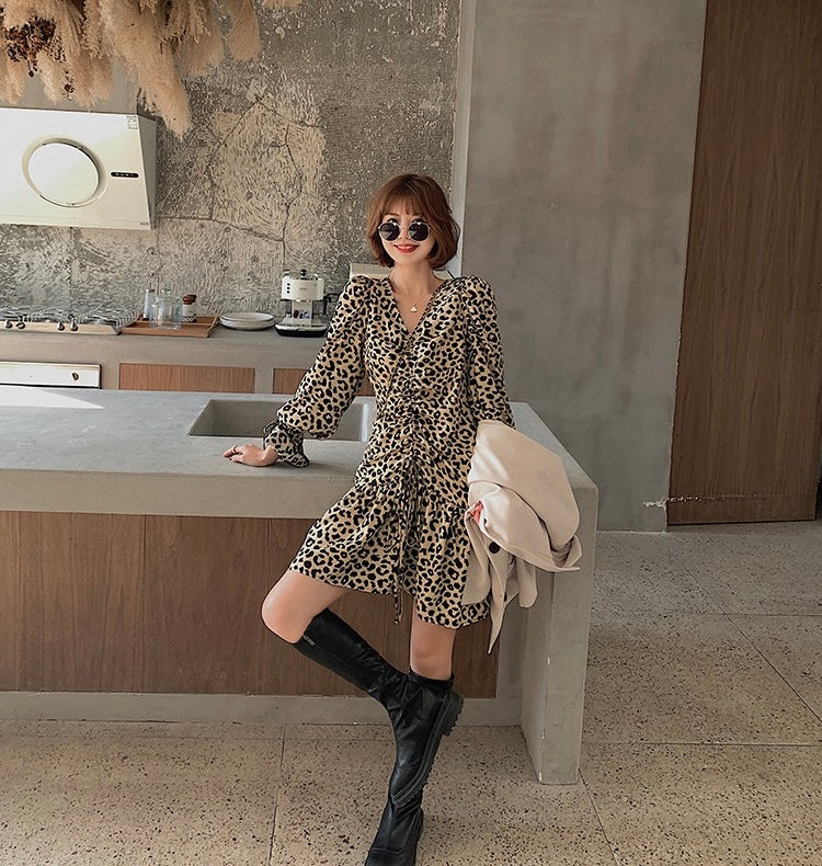 Leopard Print Long Sleeve Drawstring Mini Dress