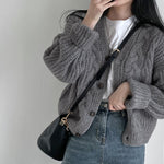 Loose Knit Braided Cable Cardigan