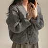 Loose Knit Braided Cable Cardigan