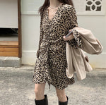 Leopard Print Long Sleeve Drawstring Mini Dress