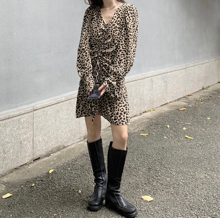 Leopard Print Long Sleeve Drawstring Mini Dress