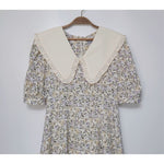 Babydoll White Collar Floral Dress