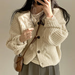 Loose Knit Braided Cable Cardigan