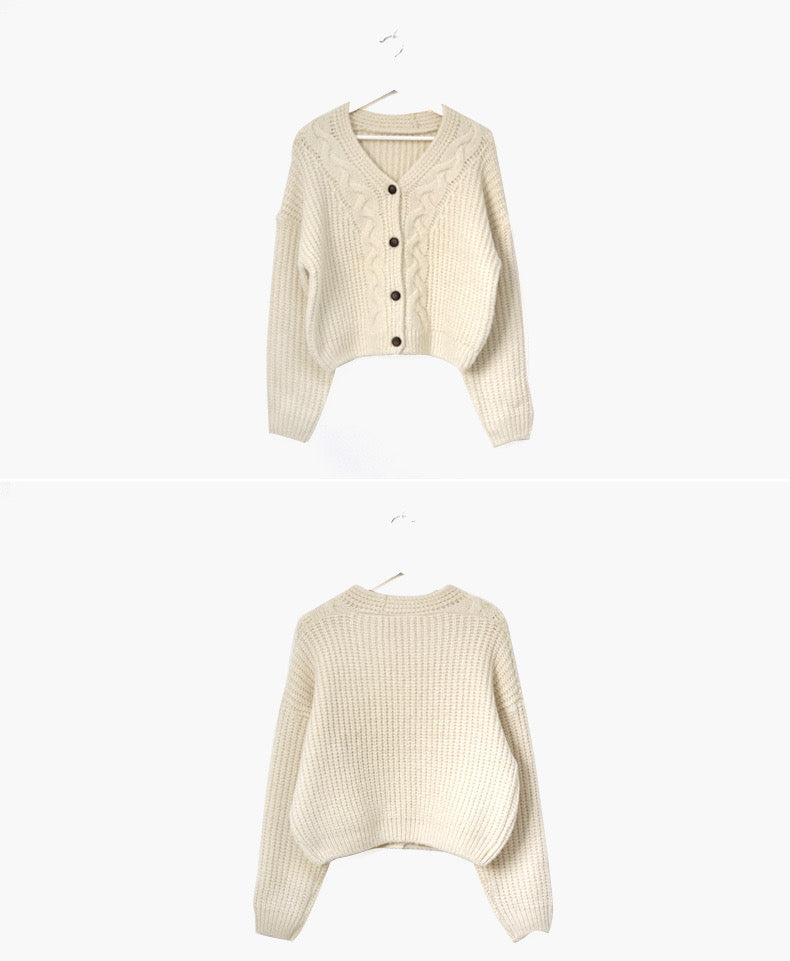 Loose Knit Braided Cable Cardigan